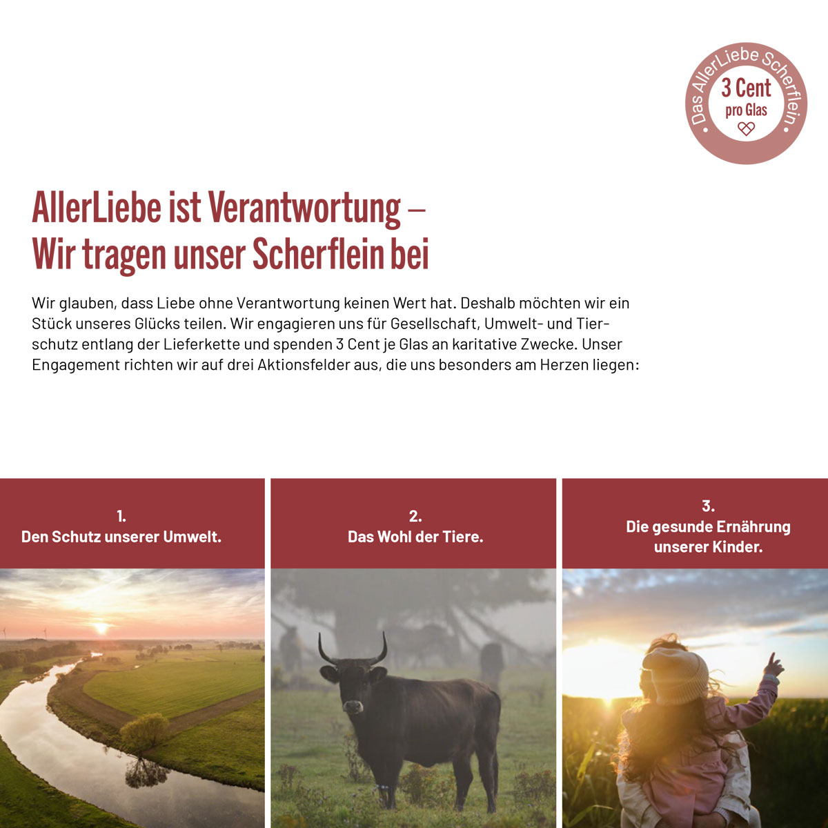 Walnuss-Kräuter-Pesto - Pesto Tedesco - AllerLiebe – Bild 3