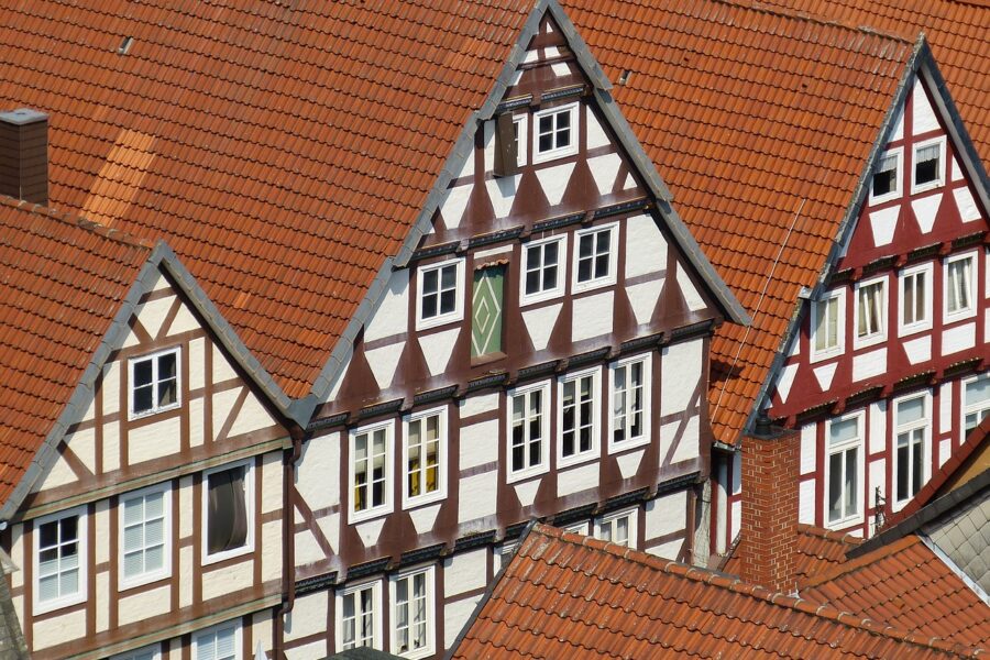 cell-891470_1280 cell-891470_1280