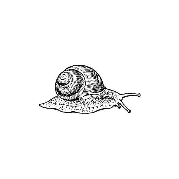 Schnecke - Stempel - Allernixe – Bild 1