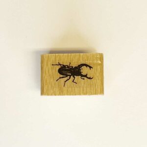 Hirschkäfer - Stempel - Allernixe